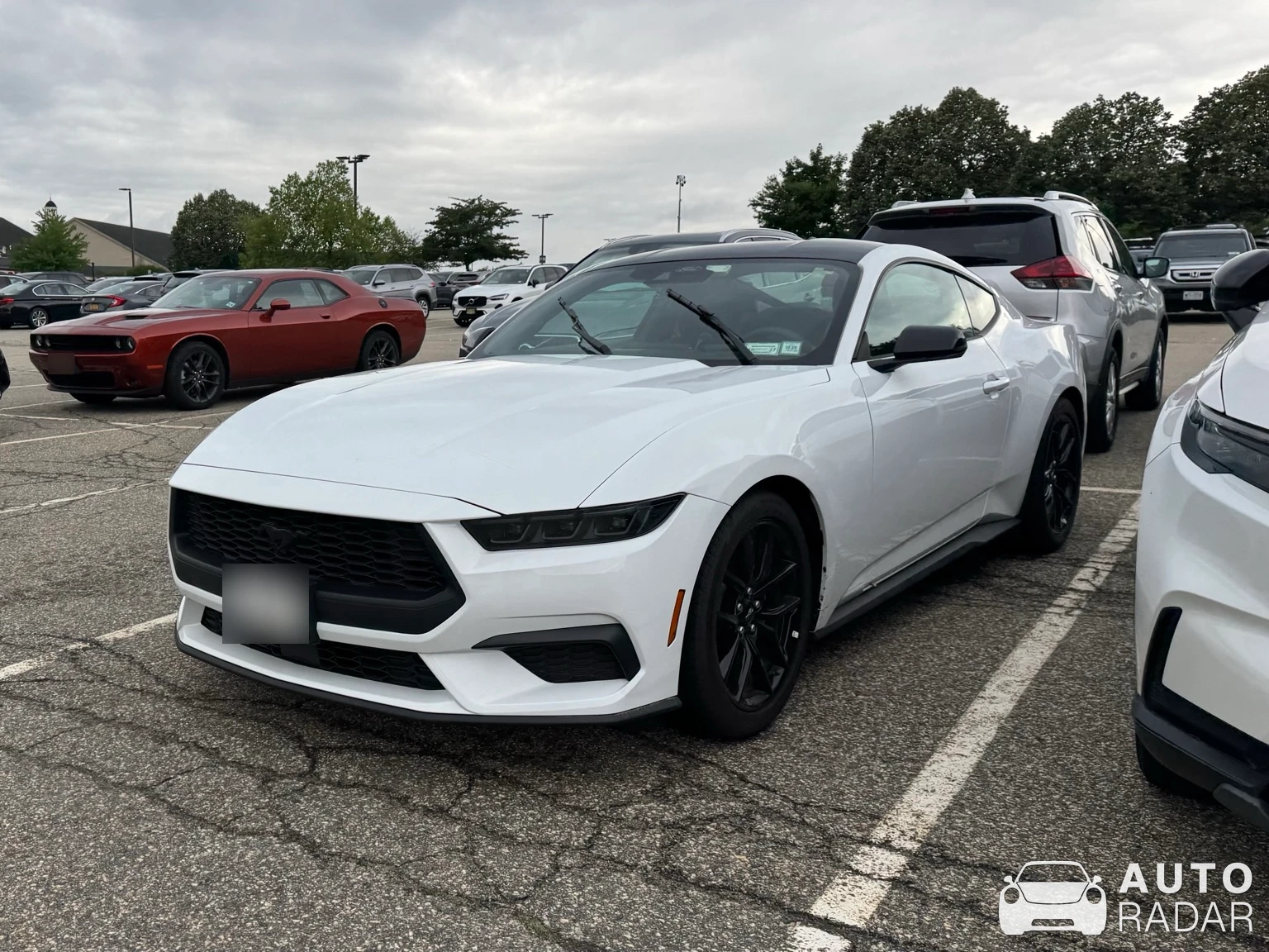 Ford Mustang GT spotted in Tuxedo Park