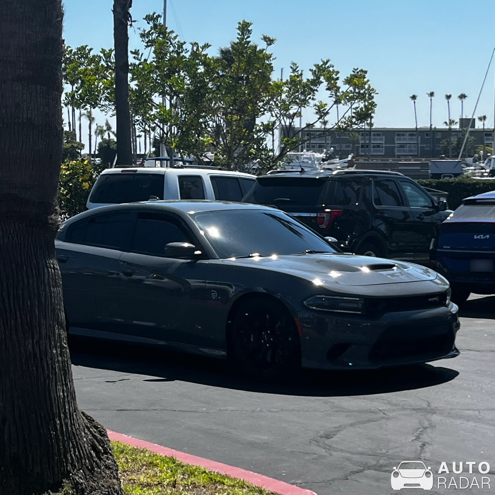 Dodge Charger SRT Hellcat spotted in Hermosa Beach