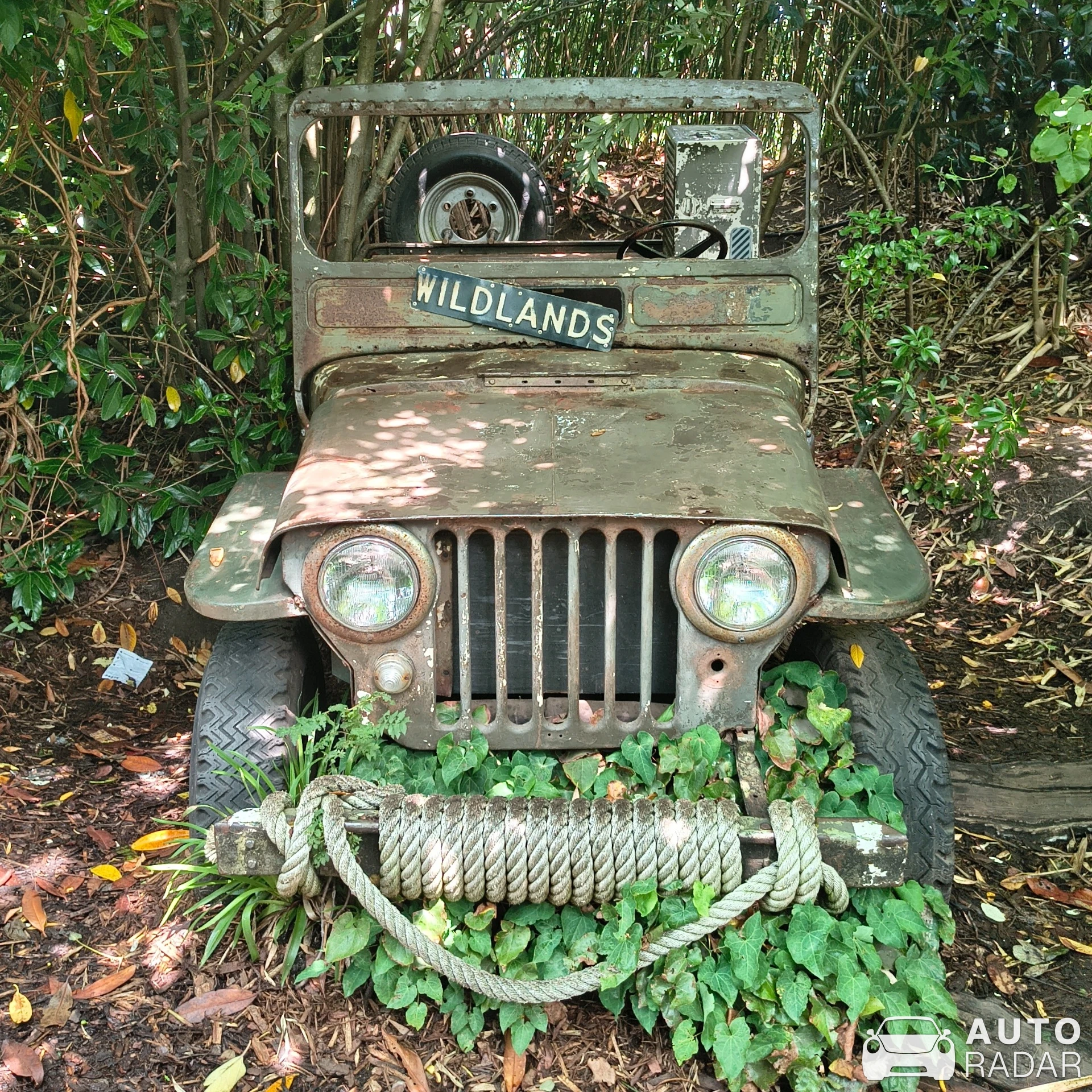Jeep Willys MB spotted in Emlichheim