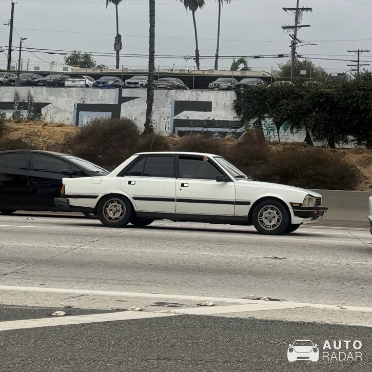 Peugeot 505 spotted in Los Angeles, United States