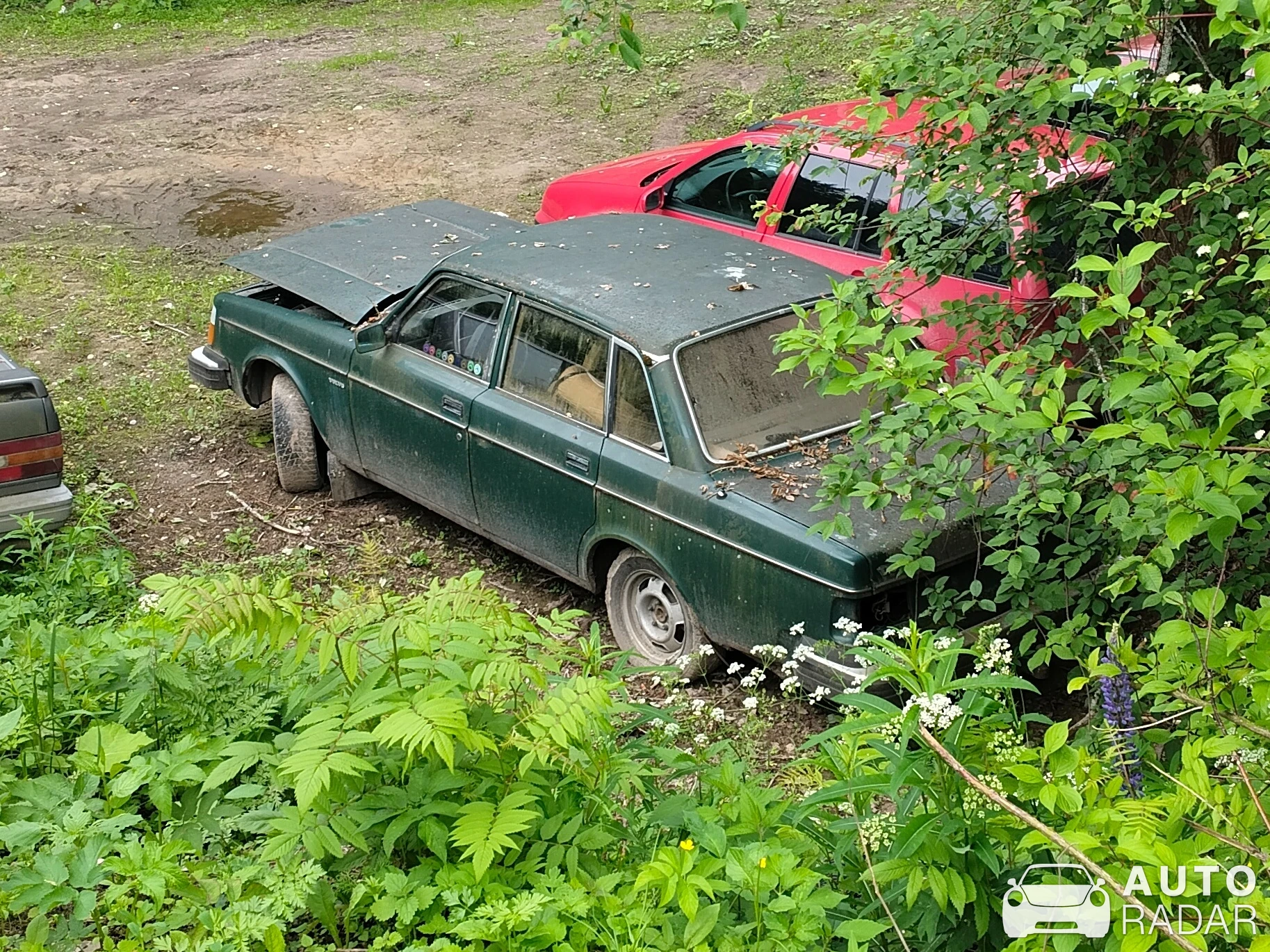 Volvo 244 spotted in Rutalahti