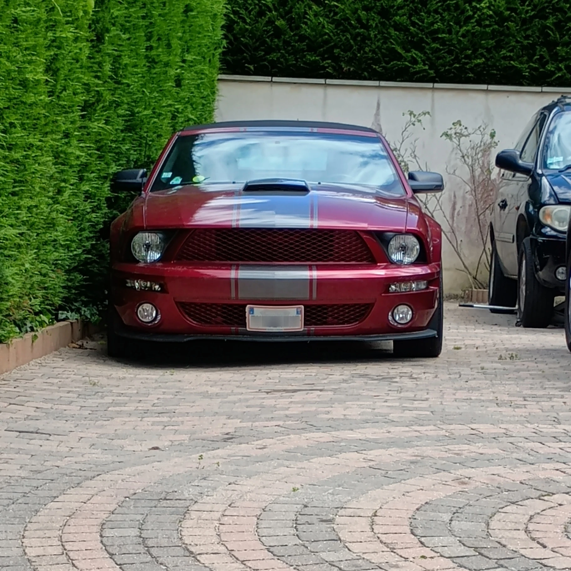 Ford Mustang Shelby GT500 spotted in Villiers-Saint-Fréderic, France