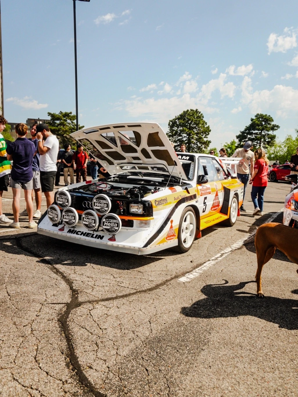 Audi Quattro S1 spotted in Wayzata, United States