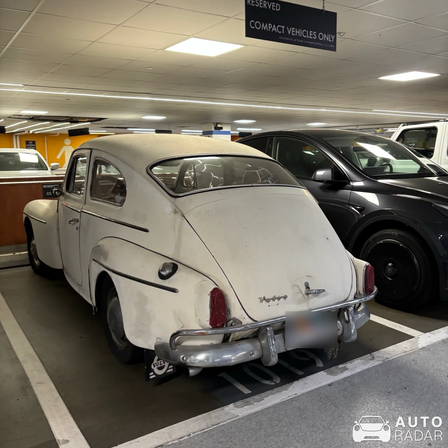 Volvo PV544 spotted in Los Angeles