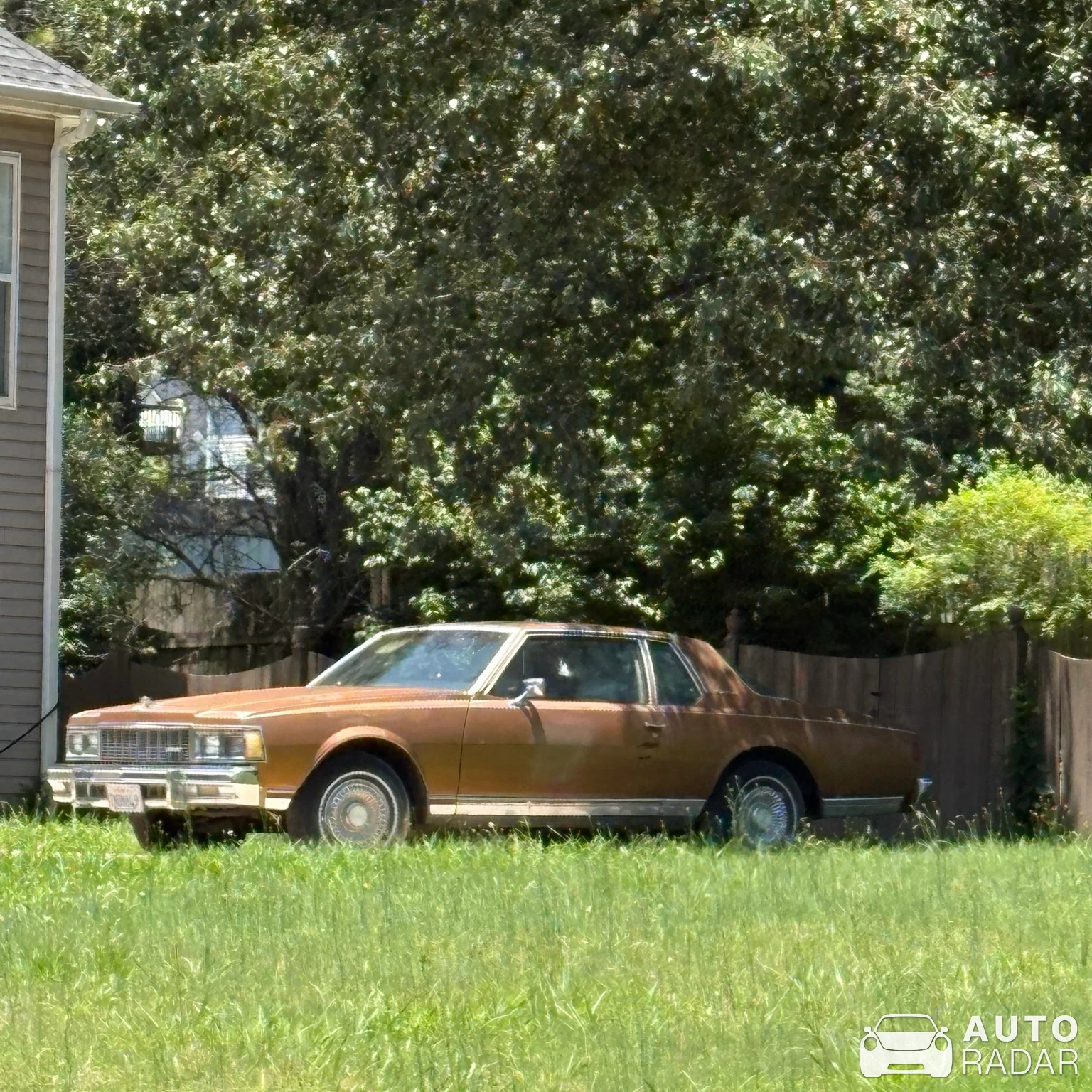 Chevrolet Caprice spotted in Decatur