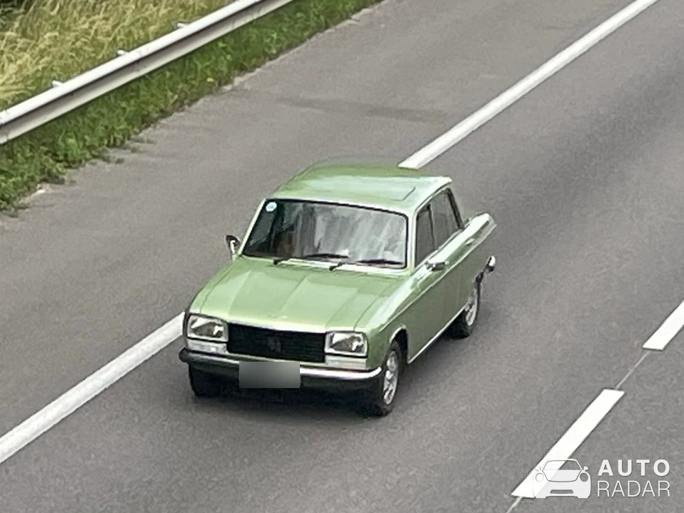 Peugeot 204 spotted in Dommartin-lès-Toul