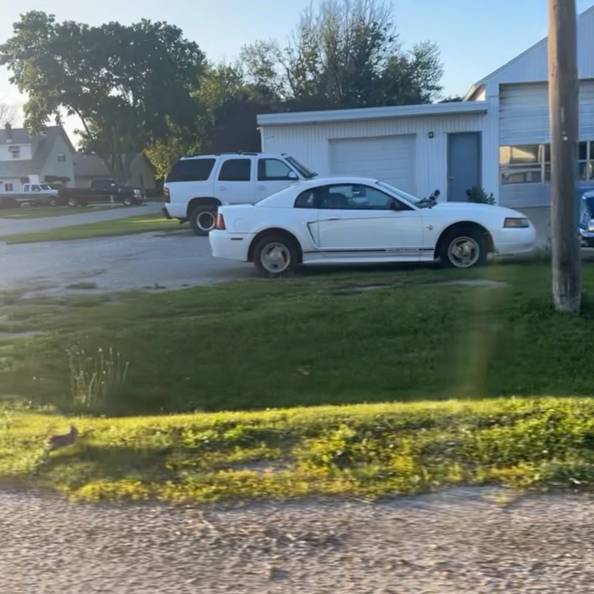 Ford Mustang spotted in Parnell, United States