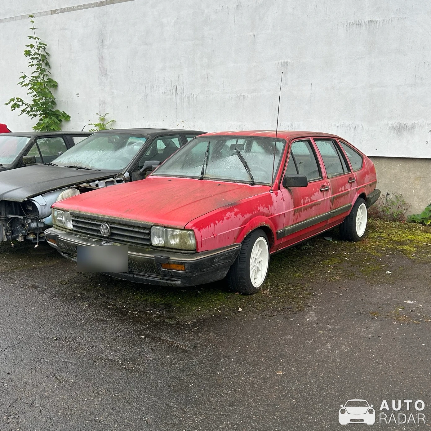 Volkswagen Passat spotted in Thalheim/Erzgebirge