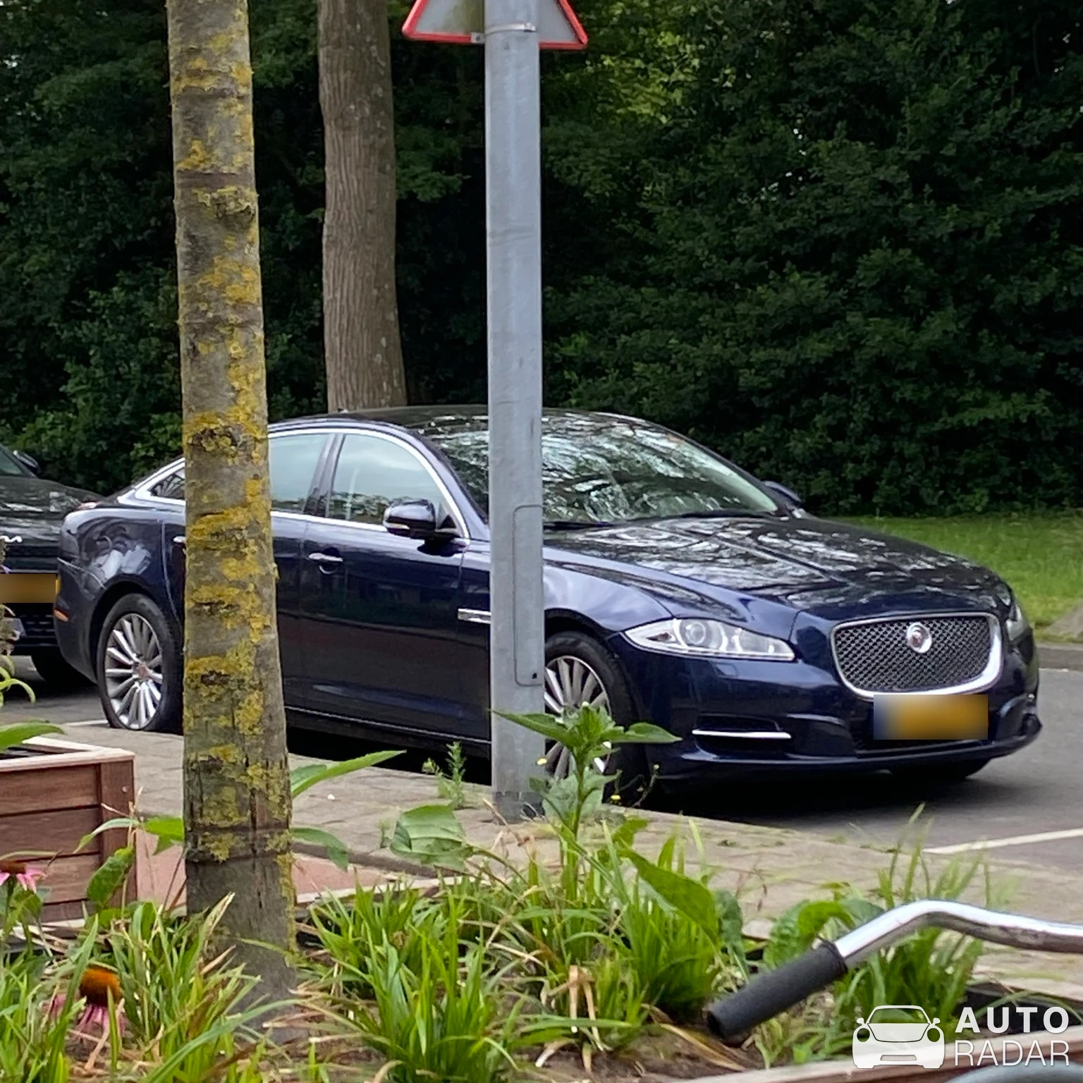 Jaguar XJ spotted in Alkmaar