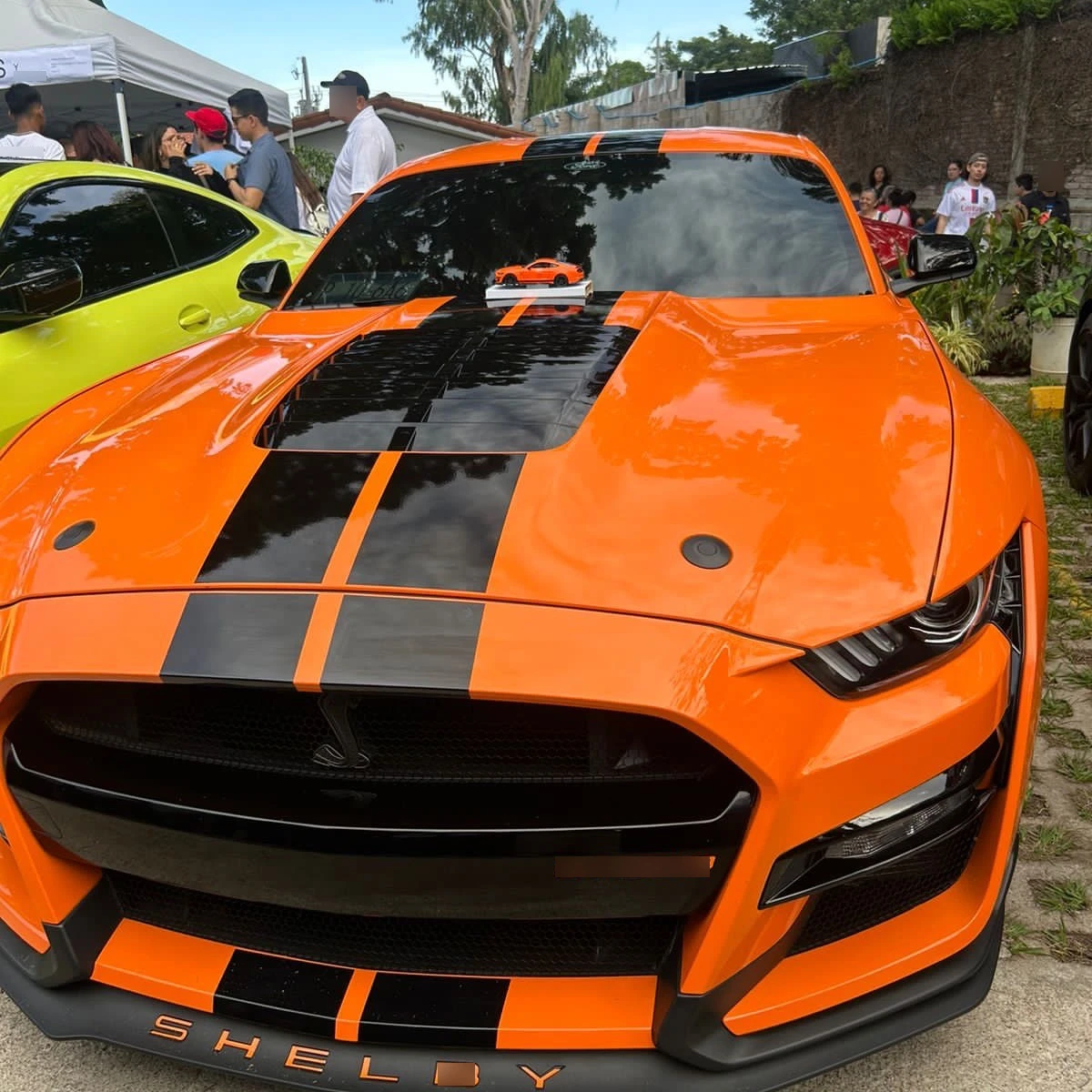 Ford Mustang Shelby GT500 spotted in San Salvador, El Salvador