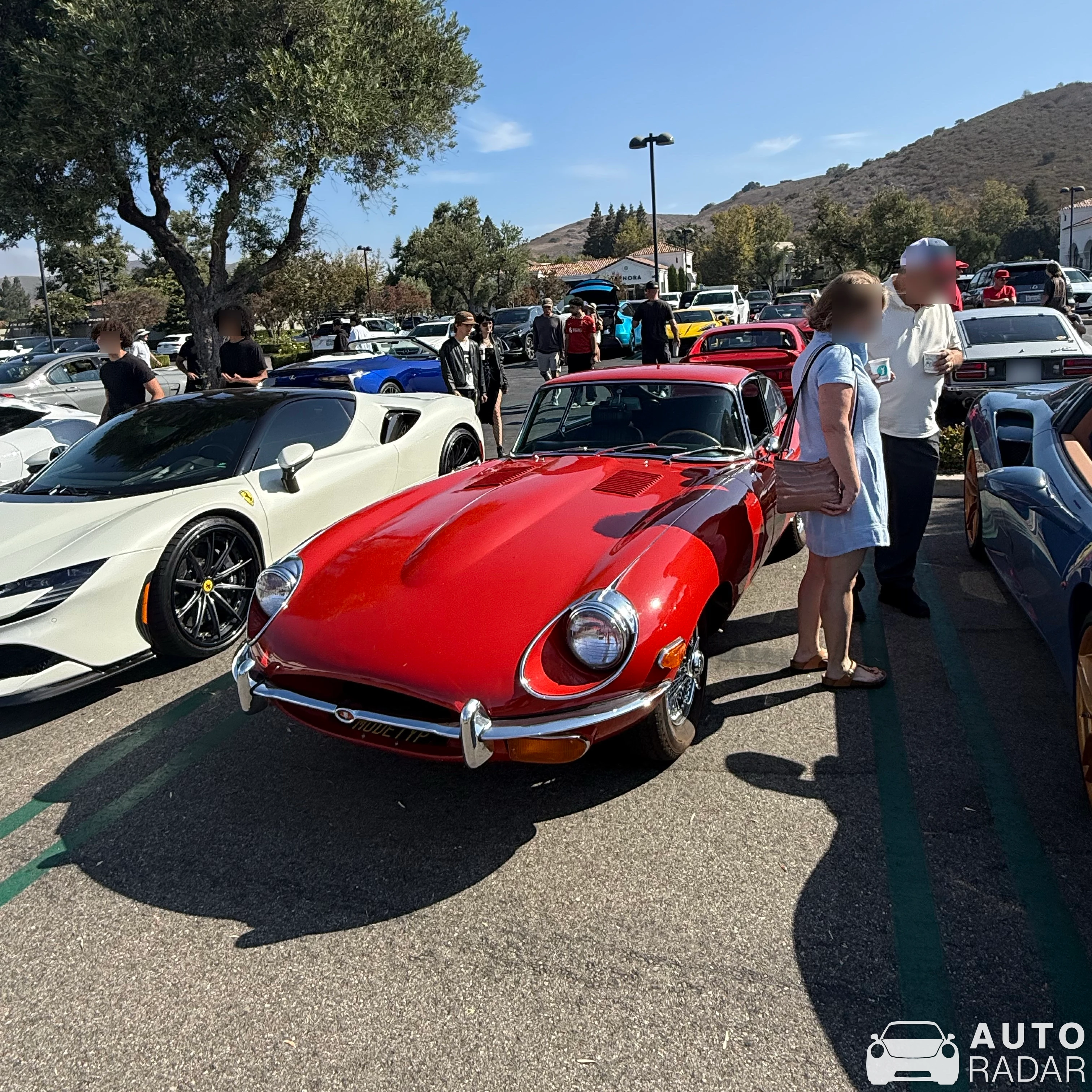 Jaguar E-Type spotted in Thousand Oaks