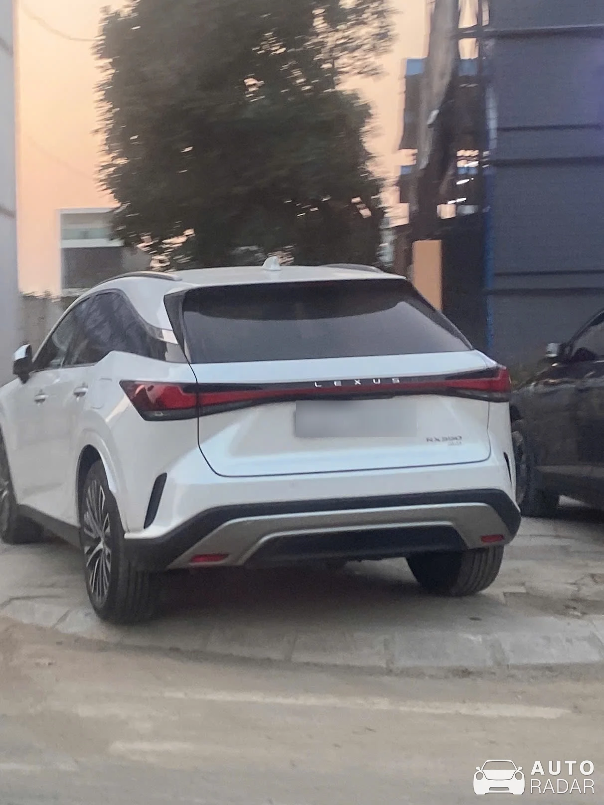 Lexus RX spotted in Vĩnh Yên