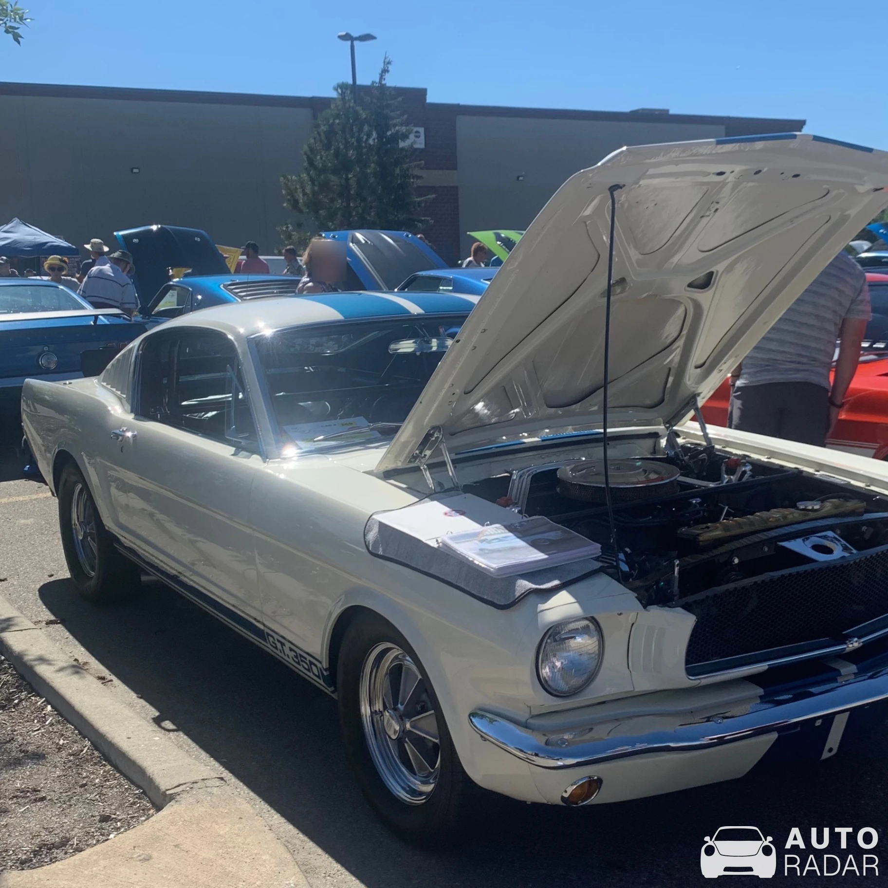 Ford Mustang GT350-H spotted in Calgary, Canada