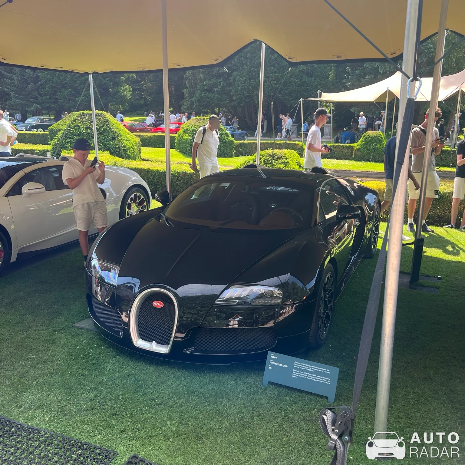 Bugatti Veyron 16.4 Grand Sport spotted in Båstad