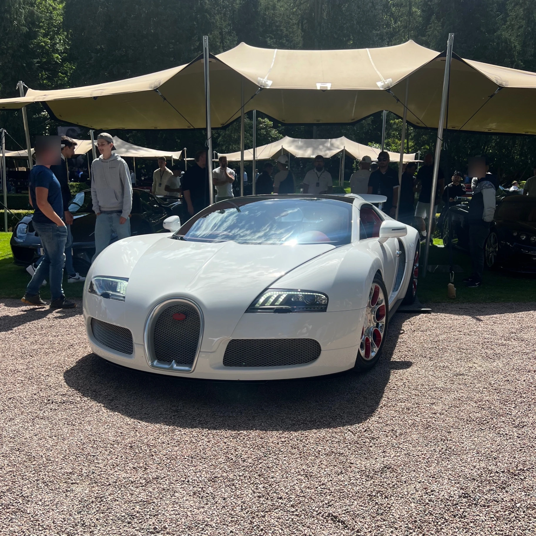 Bugatti Veyron 16.4 Grand Sport Wei Long 2012 spotted in Skåne län, Sweden