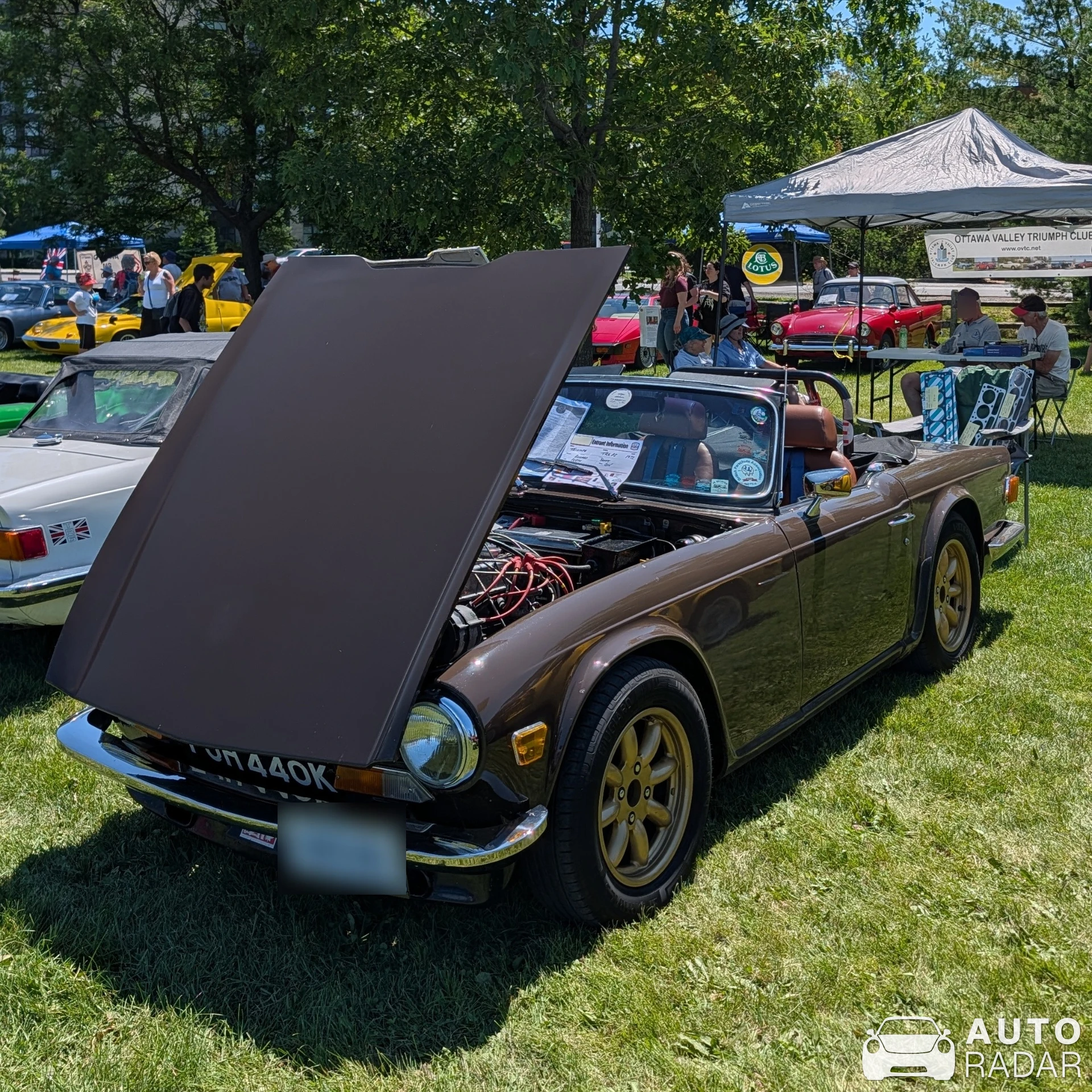 Triumph TR6 spotted in Nepean