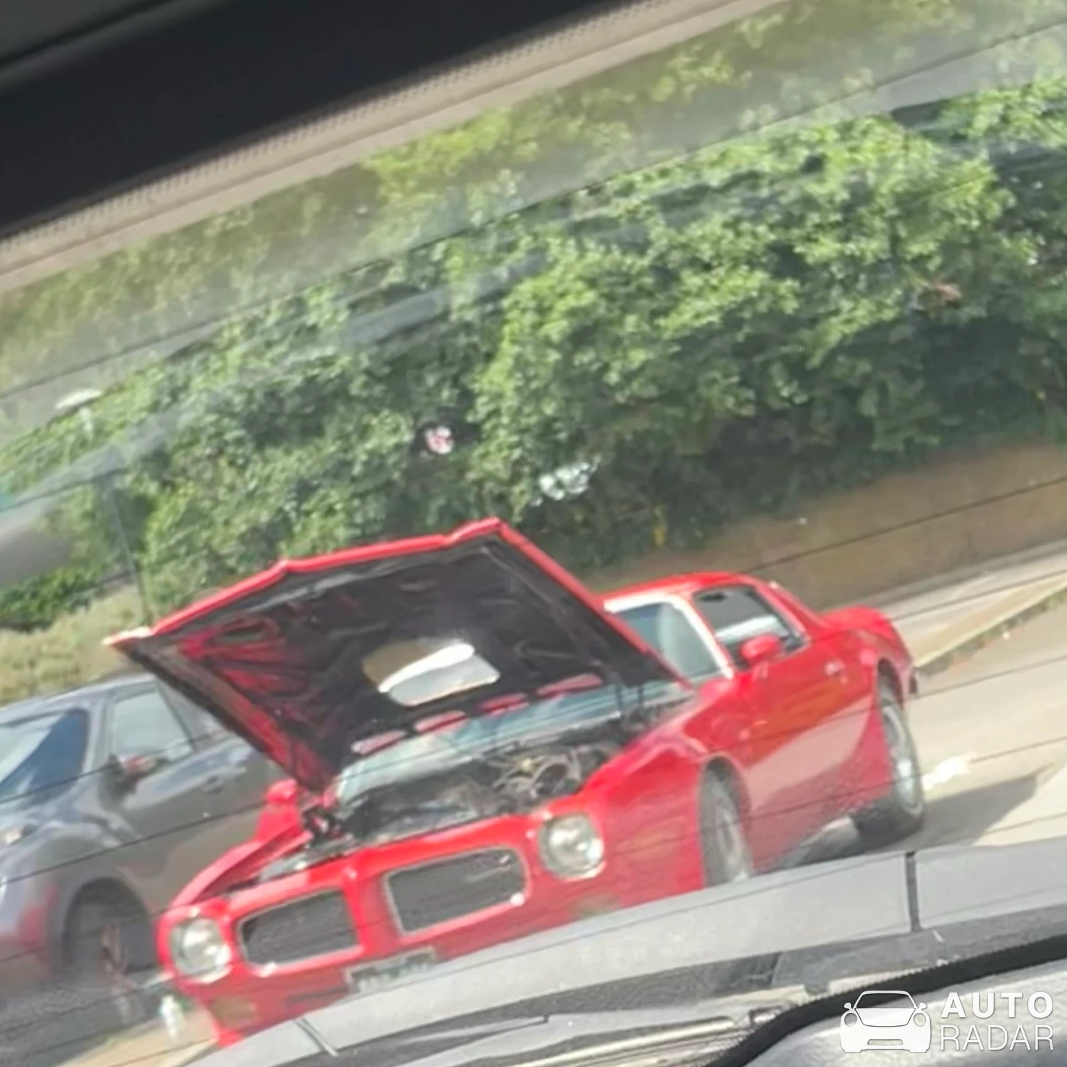 Pontiac Firebird spotted in Millbrook