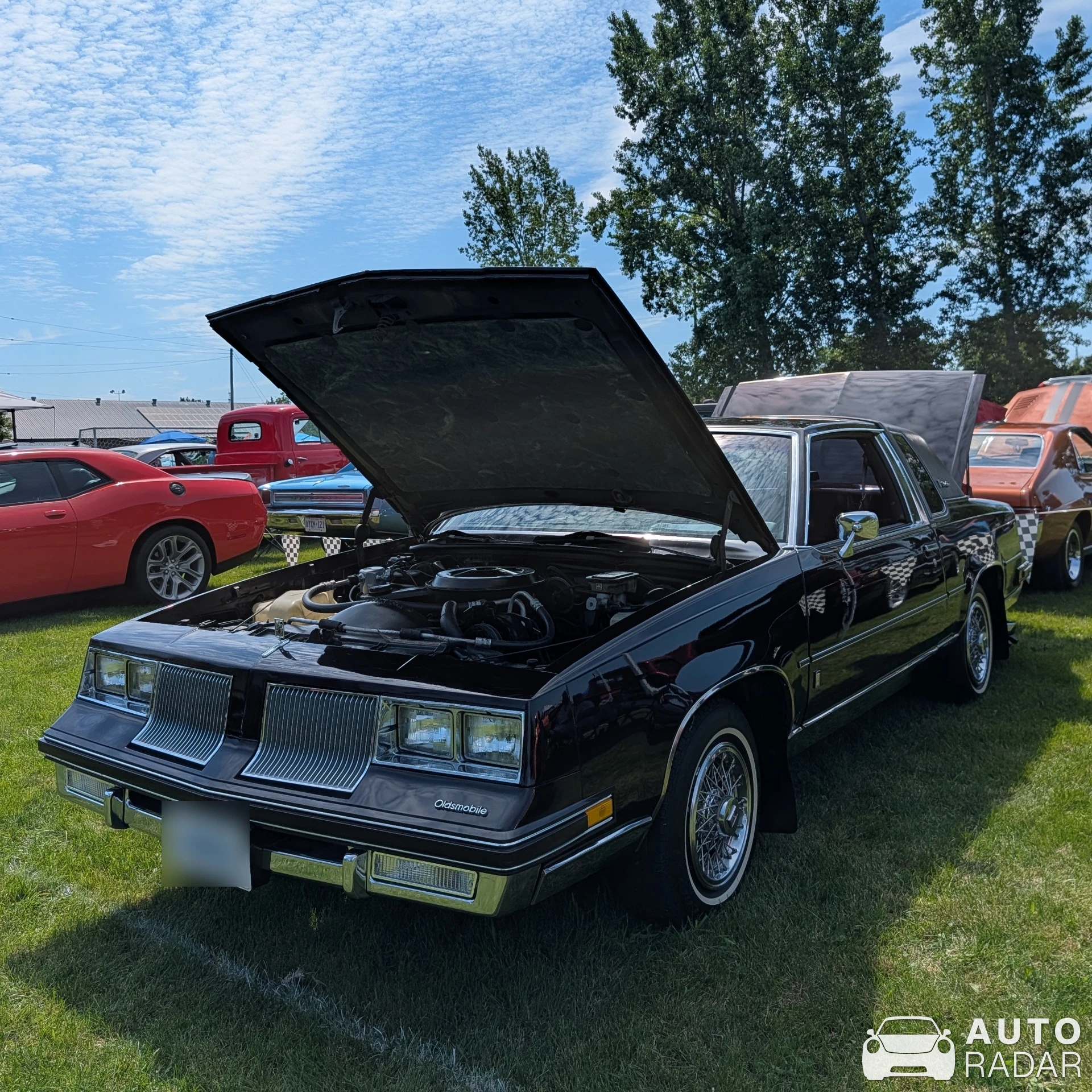 Oldsmobile Cutlass spotted in Merrickville