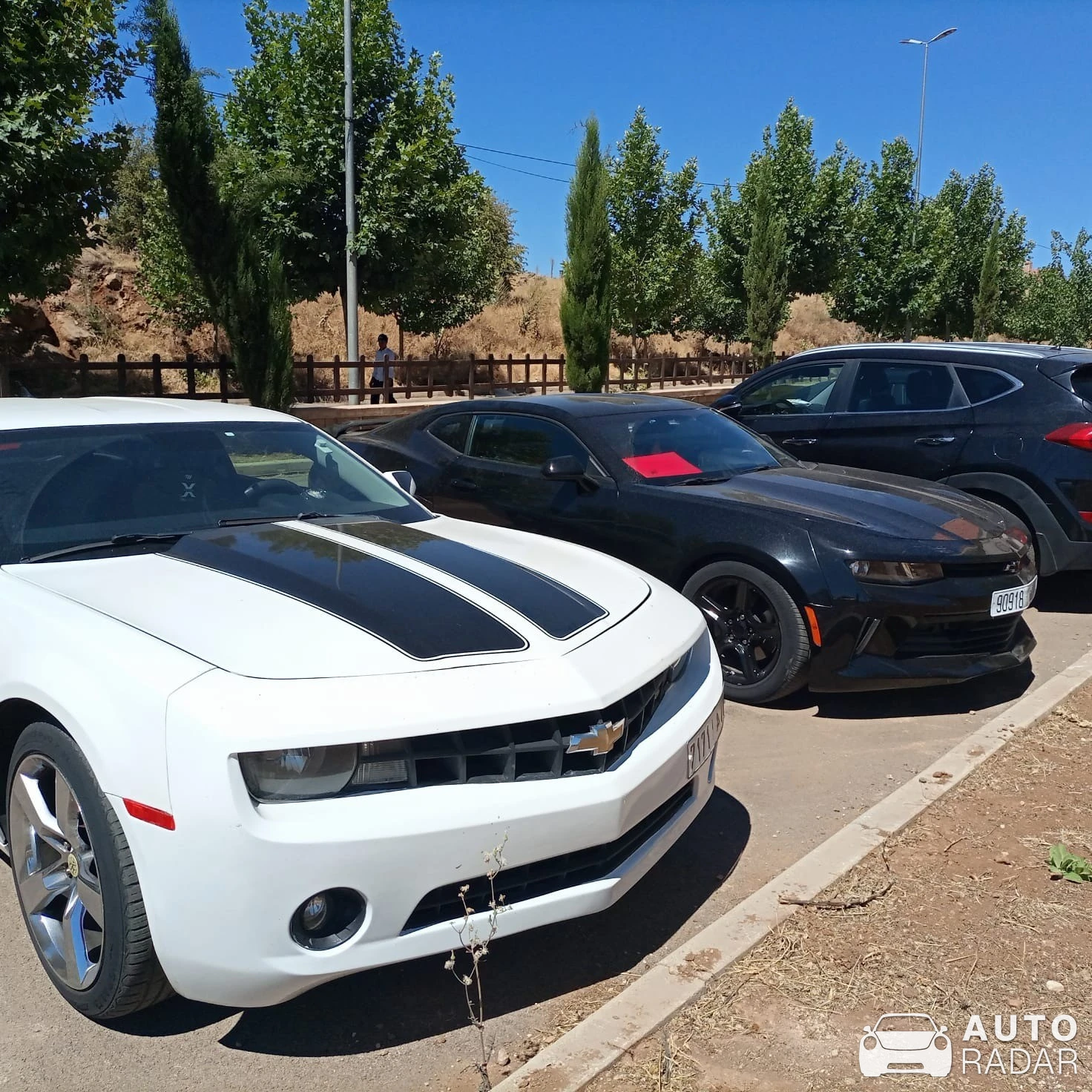 Chevrolet Camaro 2016 spotted in Ifrane, Morocco