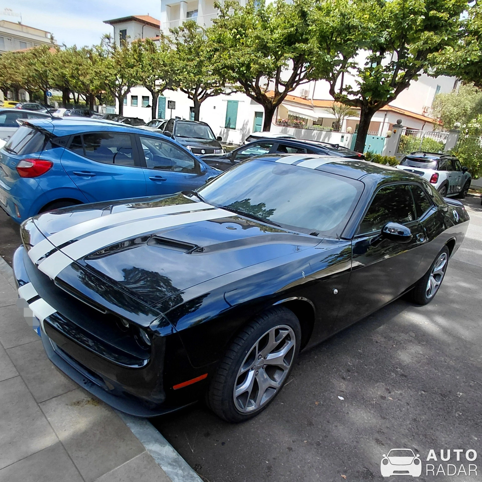 Dodge Challenger spotted in Massa