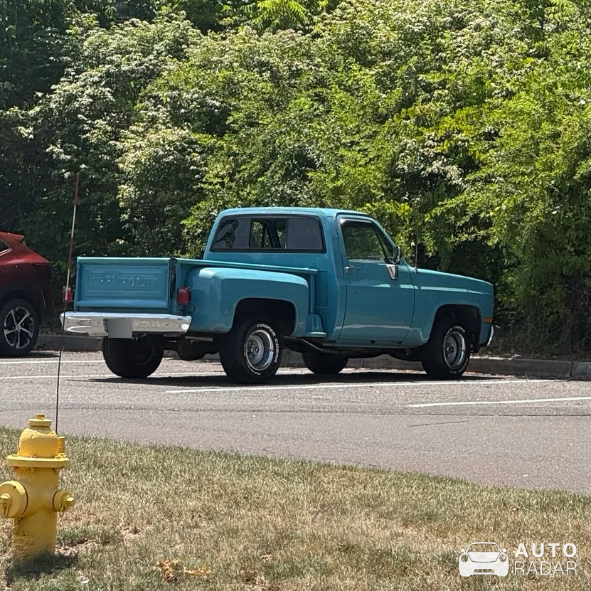Chevrolet C10 spotted in Doylestown