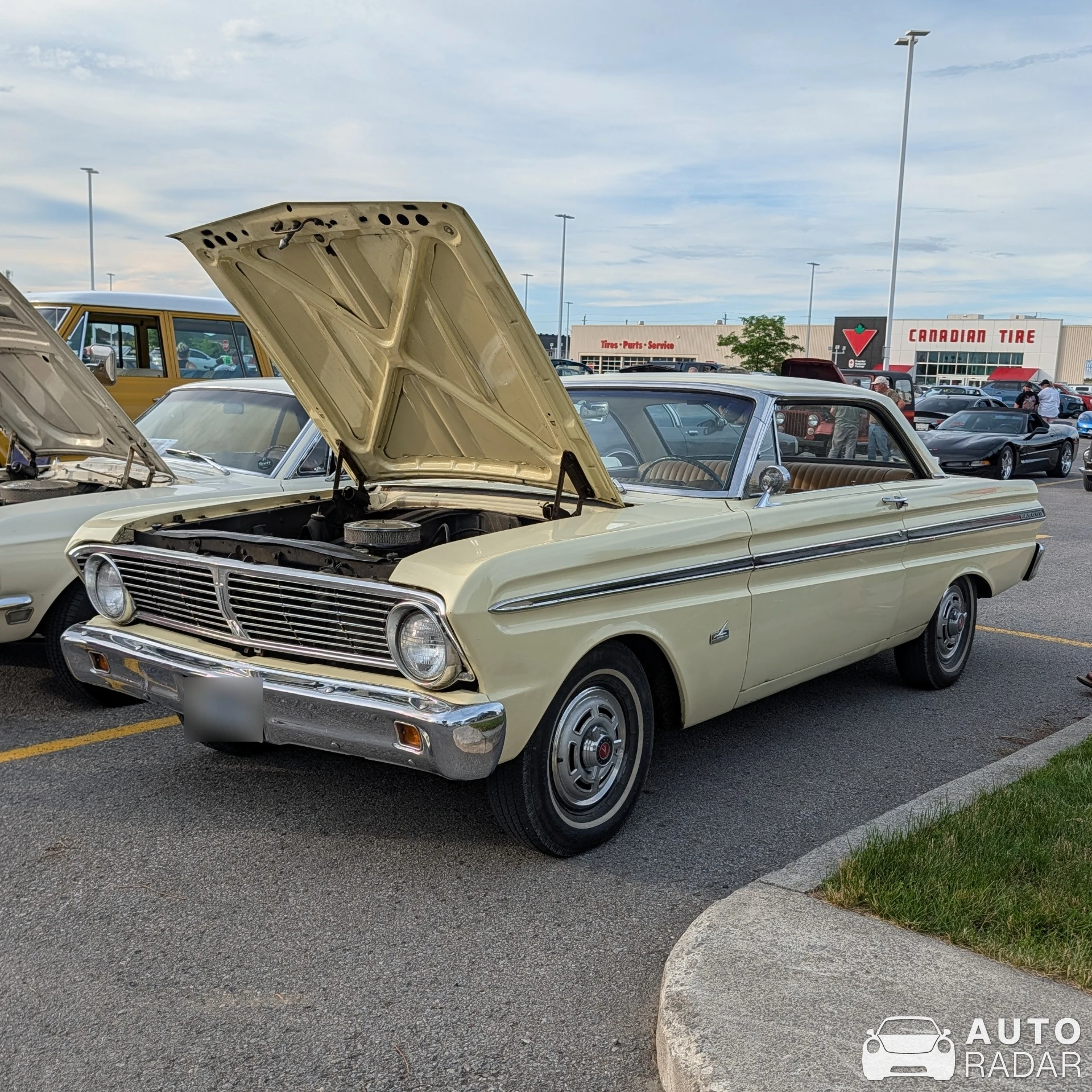 Ford Falcon spotted in Carleton Place