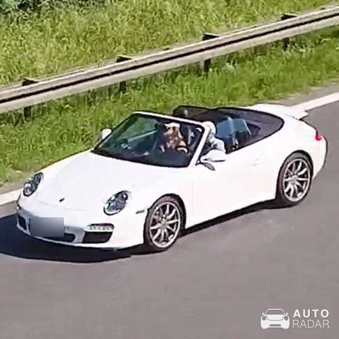 Porsche 997 Targa spotted in Weingarten, Germany