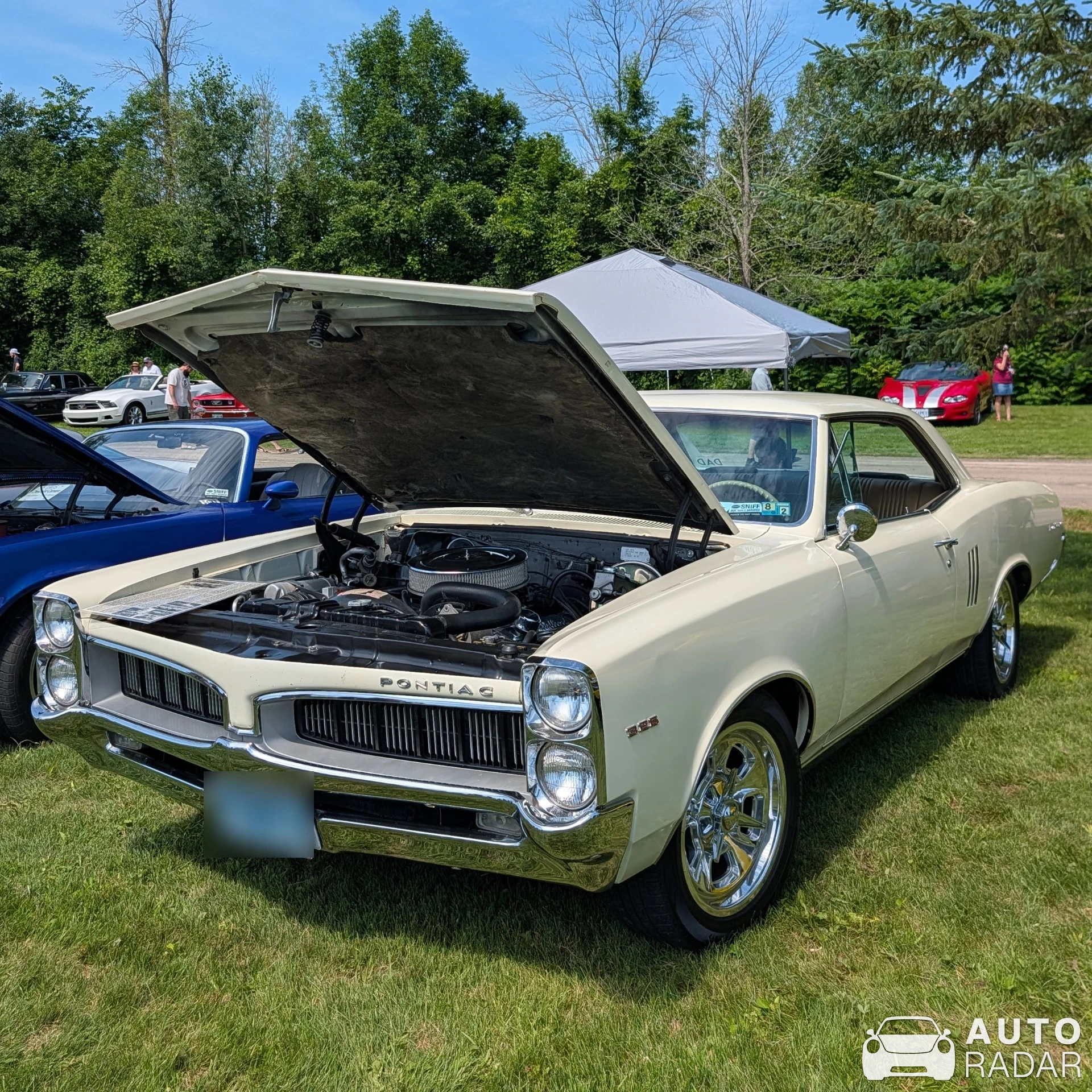 Pontiac LeMans spotted in Merrickville
