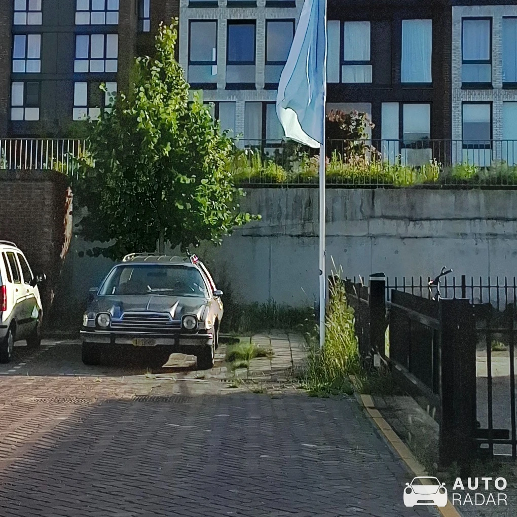 AMC Pacer spotted in Voorburg
