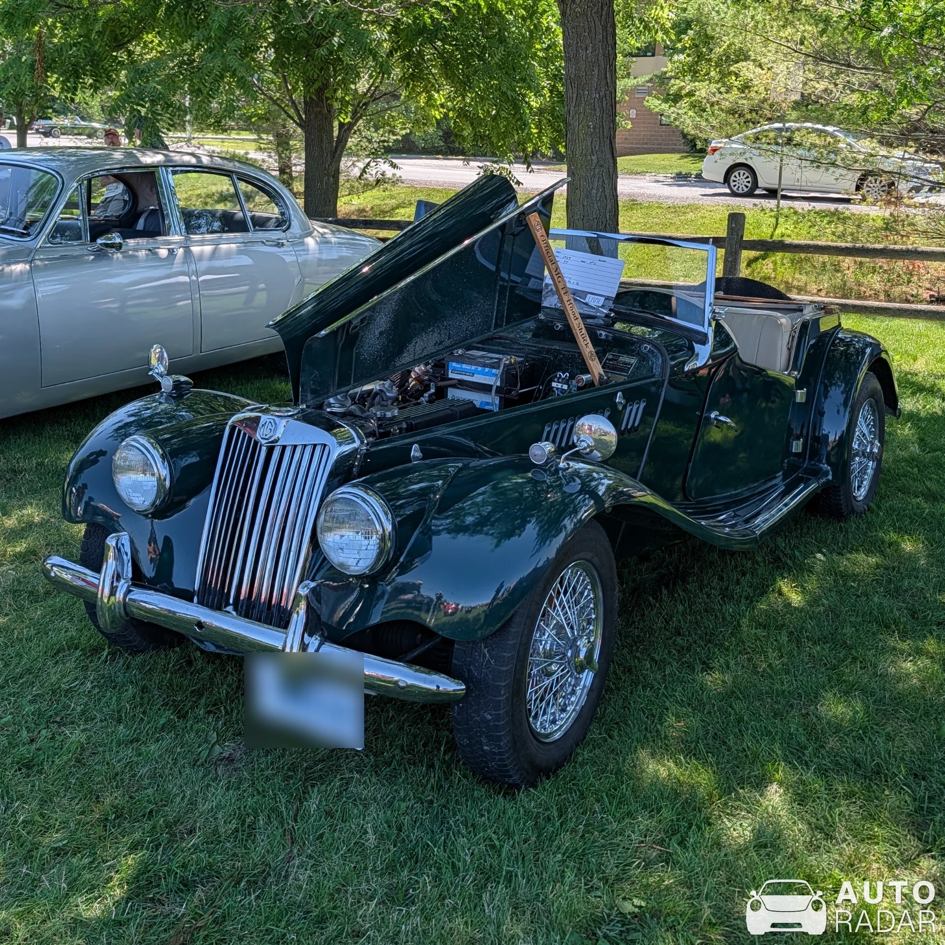 MG TF spotted in Nepean