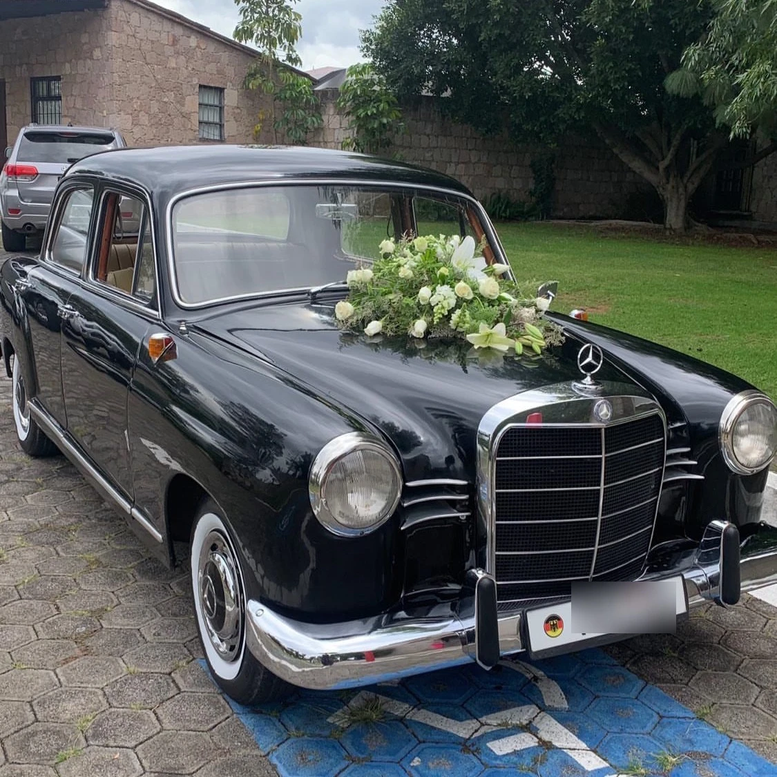 Mercedes-Benz Ponton spotted in Morelia