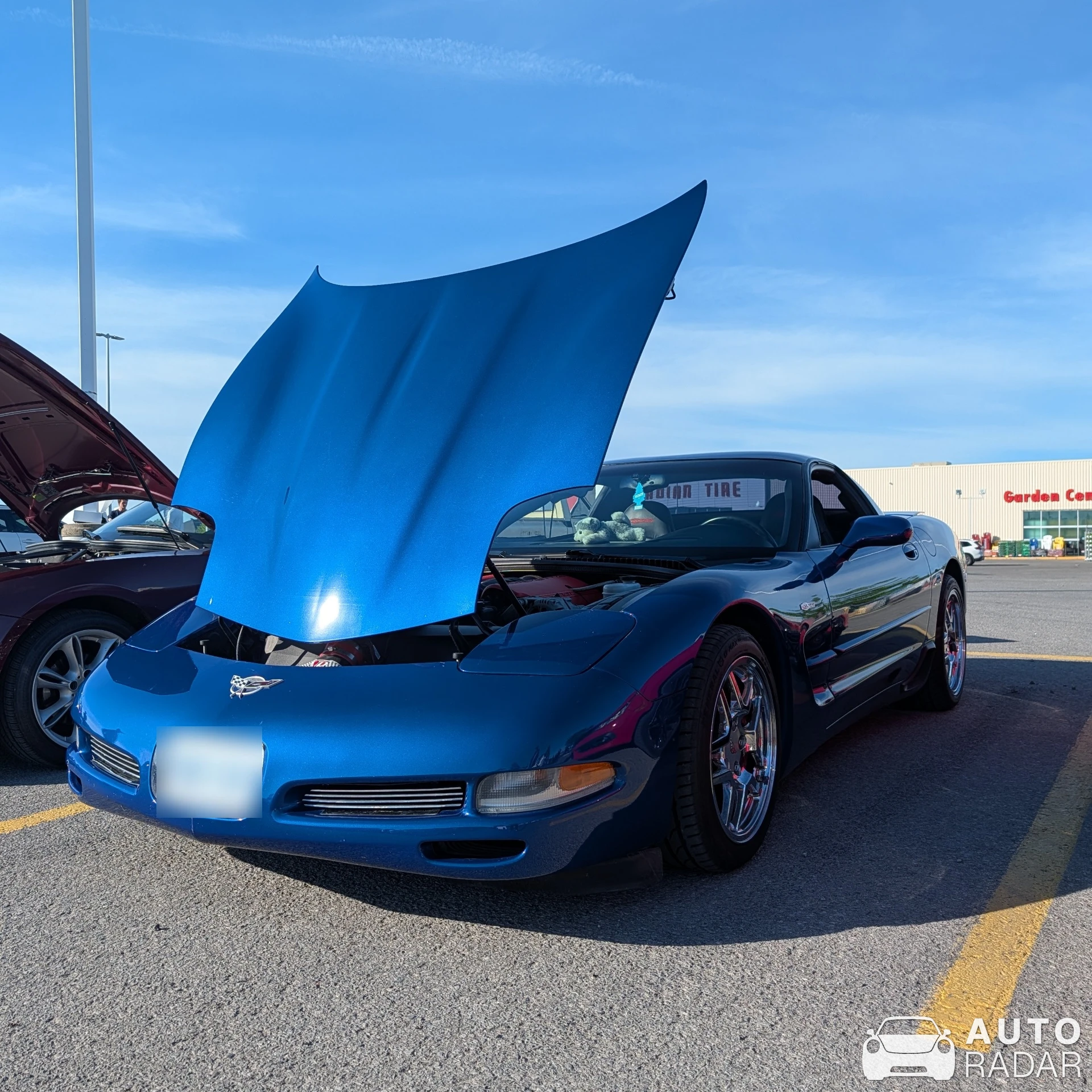 Chevrolet Corvette C5 50th Anniversary spotted in Carleton Place