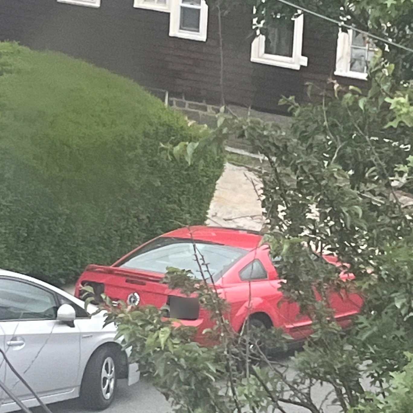 Ford Mustang spotted in Malden, United States