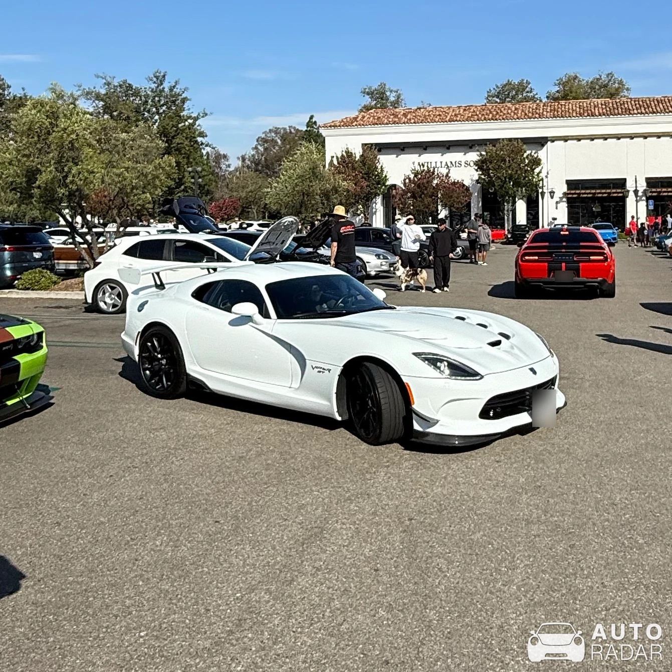 Dodge Viper GT spotted in Thousand Oaks