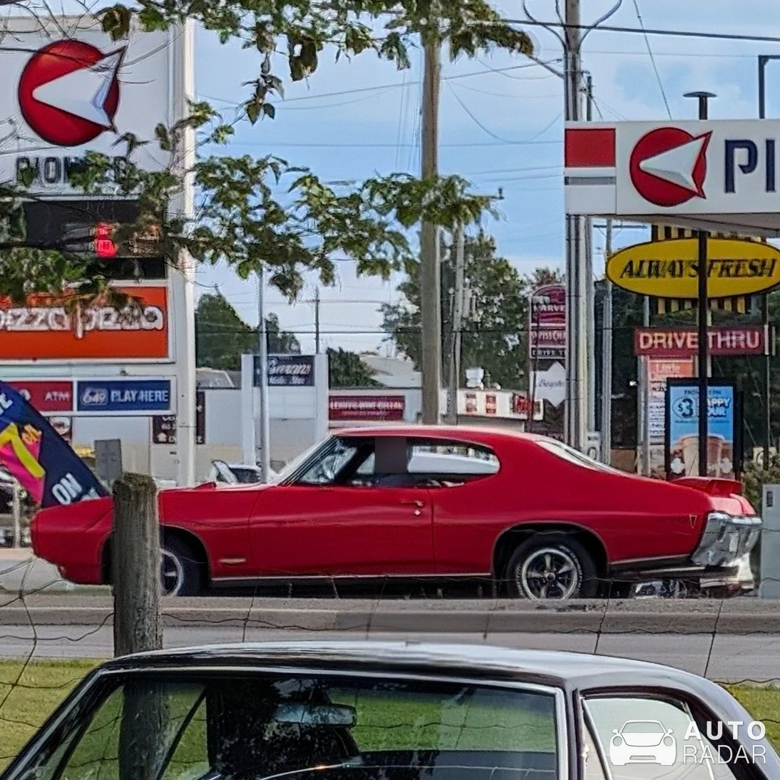 Pontiac GTO spotted in Carleton Place