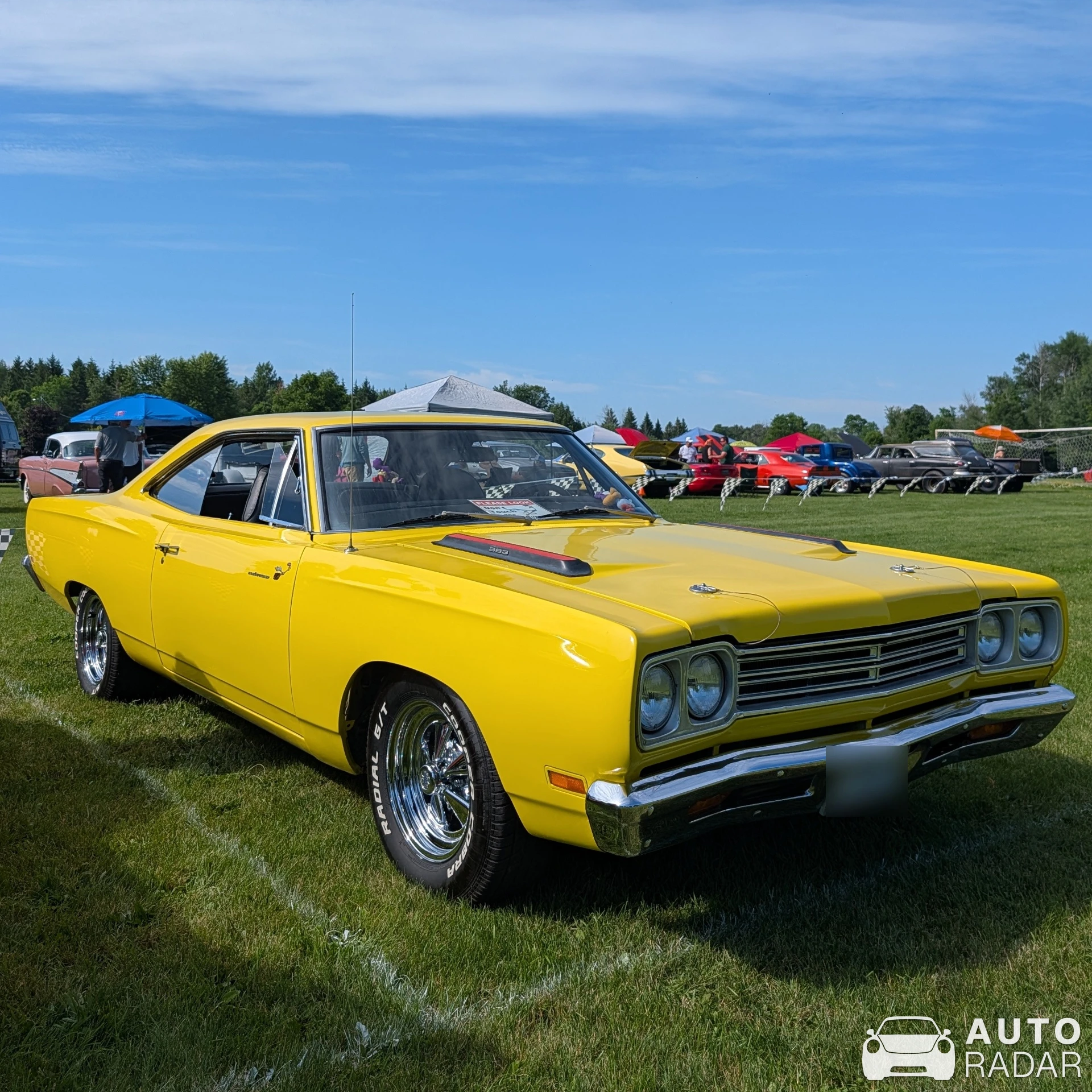 Plymouth Road Runner spotted in Merrickville