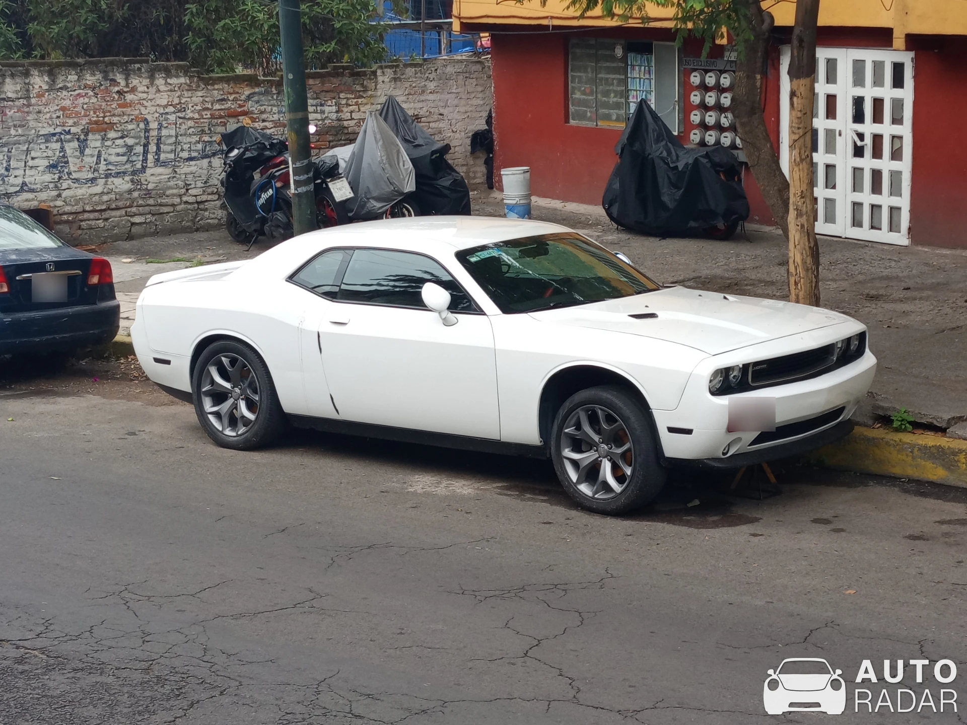Dodge Challenger spotted in Ciudad de México