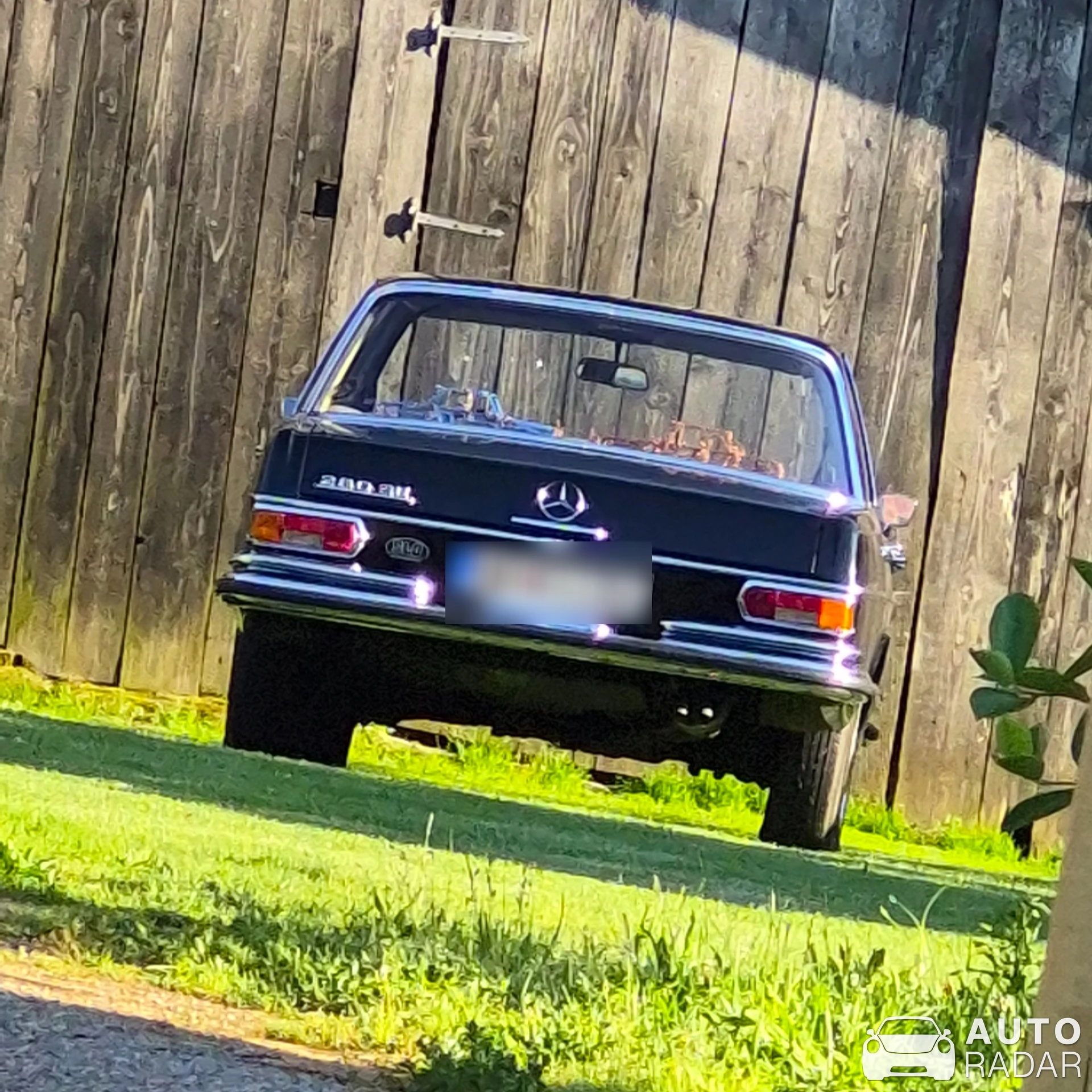 Mercedes-Benz 300 spotted in Semič