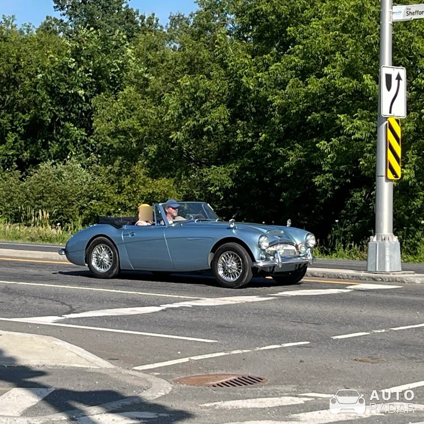 Austin-Healey 3000 MkIII spotted in Granby