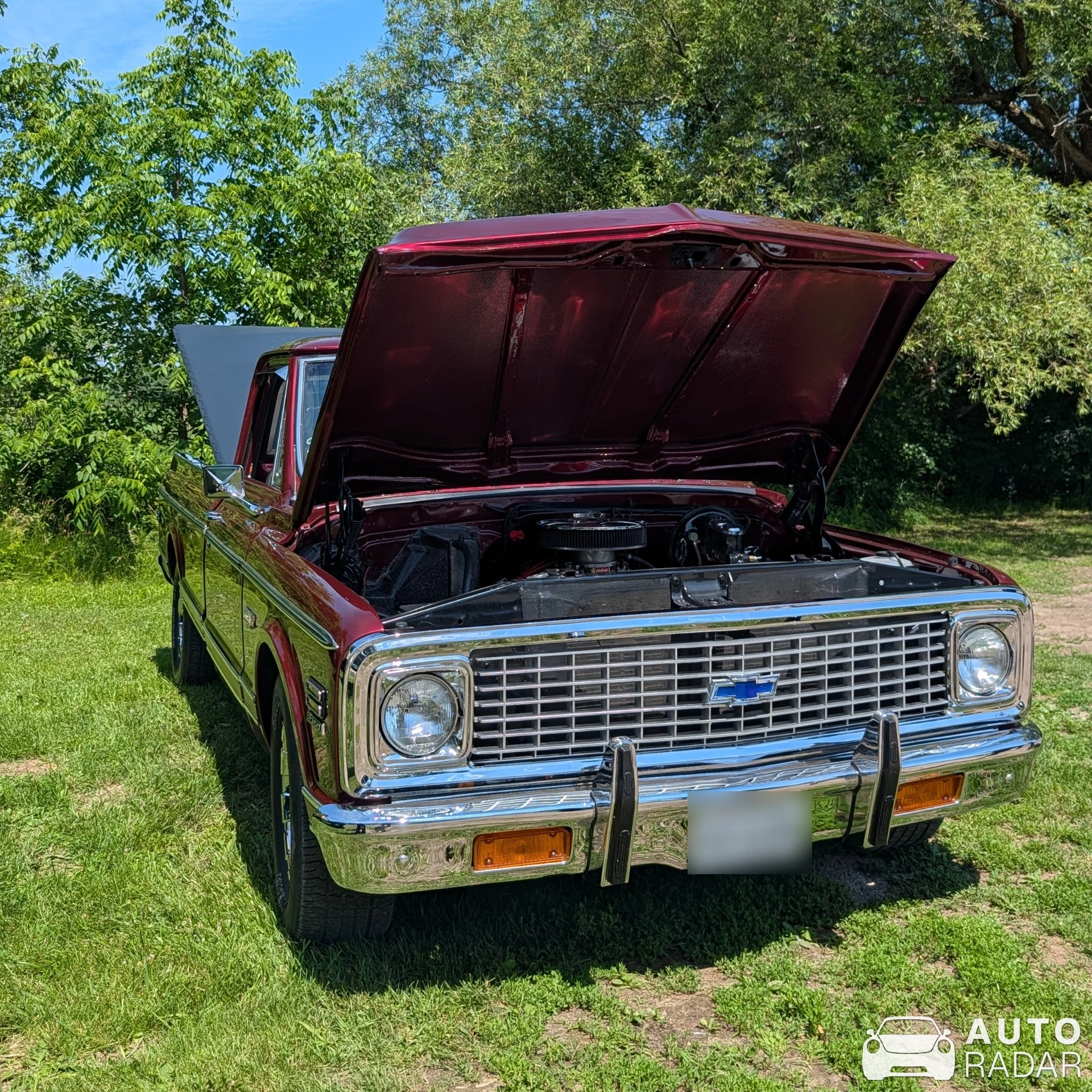 Chevrolet C10 spotted in Merrickville