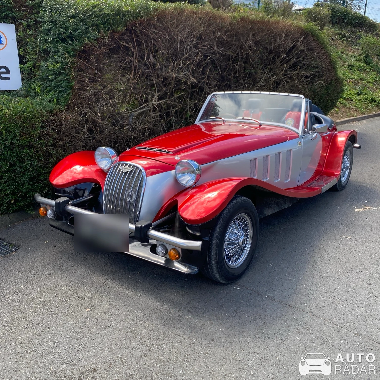 Panther Lima spotted in Poitiers