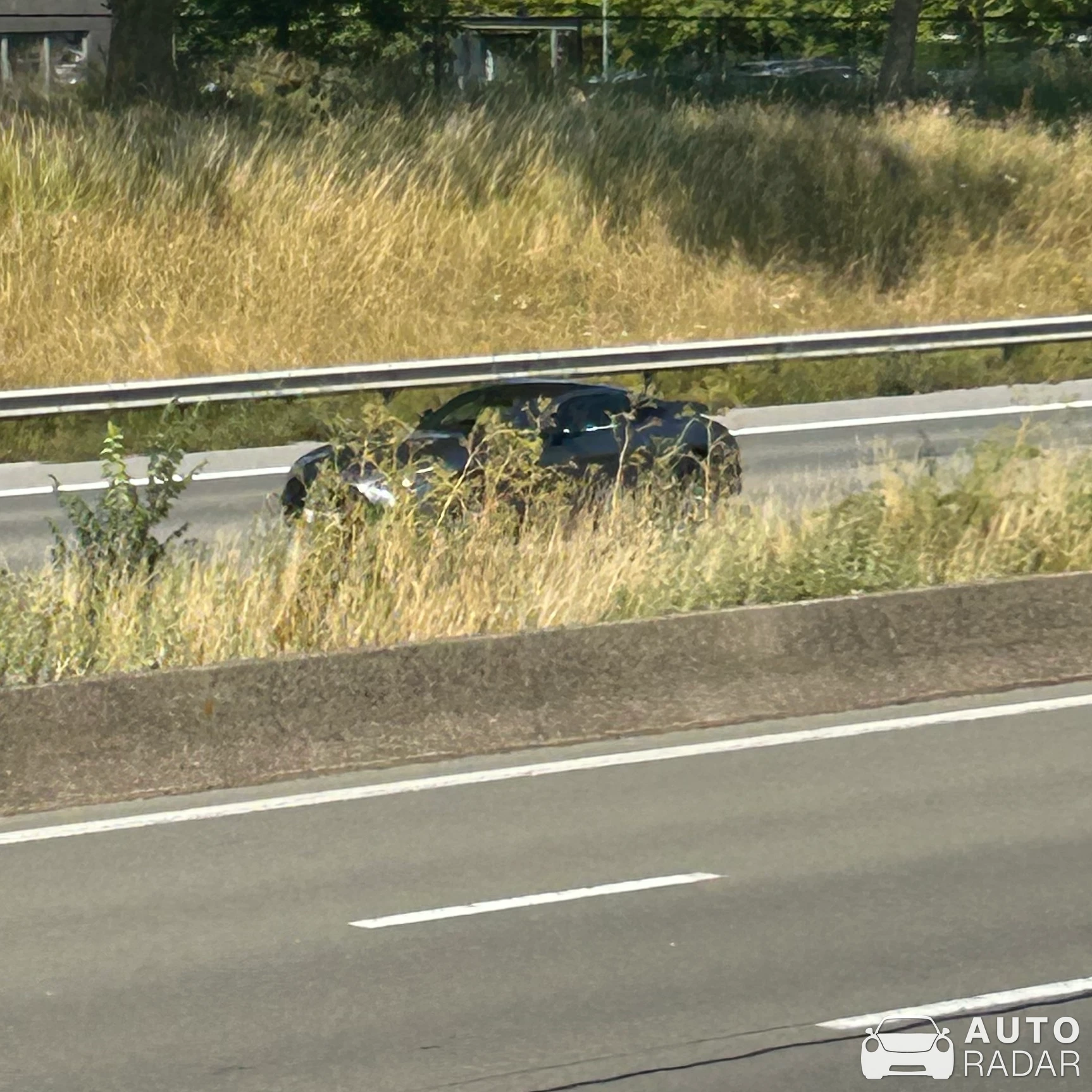 Mercedes-AMG GT R Pro C190 spotted in Oud-Heverlee