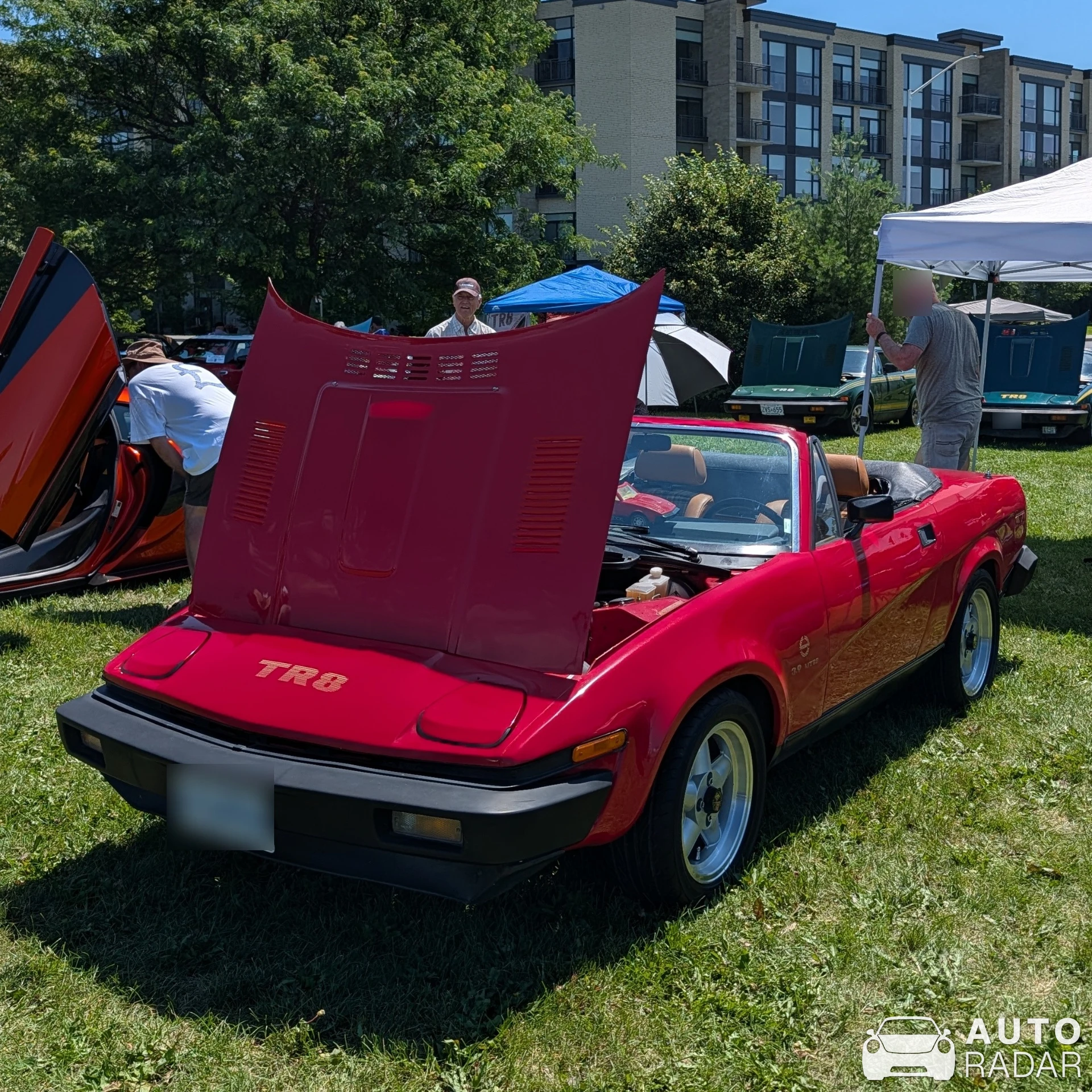 Triumph TR8 spotted in Nepean