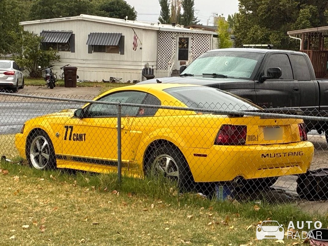 Ford Mustang Mach 1 2003-2004