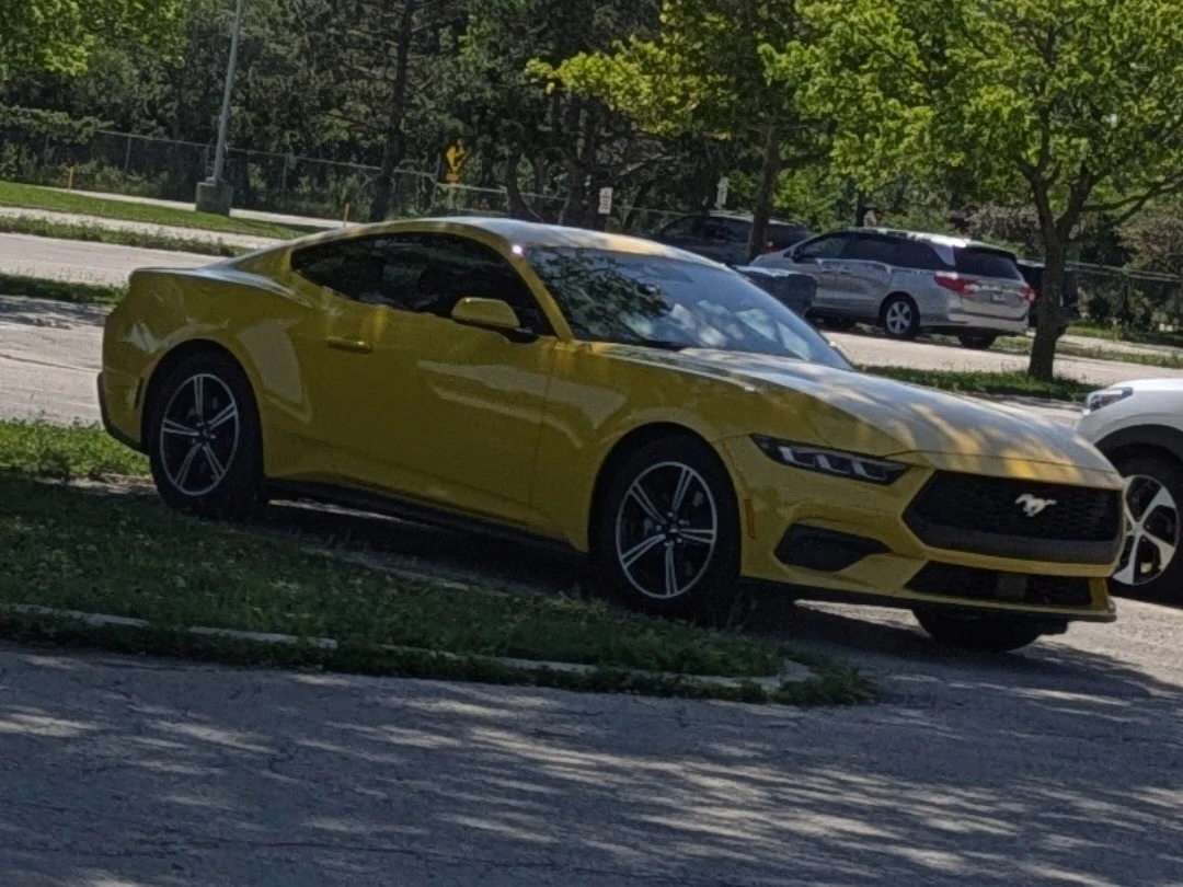 Ford Mustang spotted in Brookfield, United States