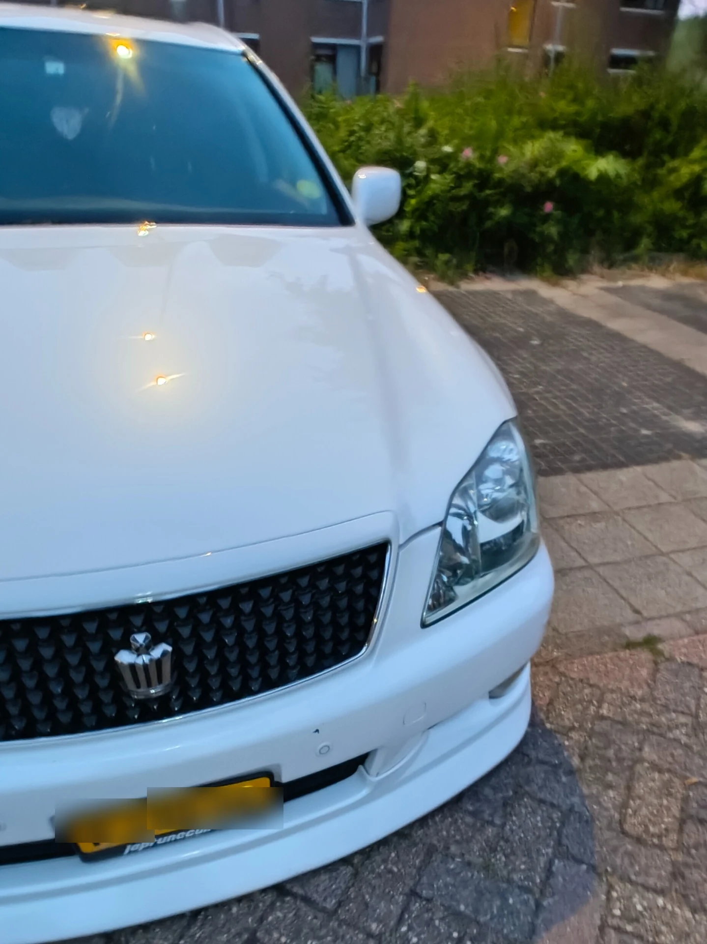 Toyota Crown spotted in Den Helder, Netherlands