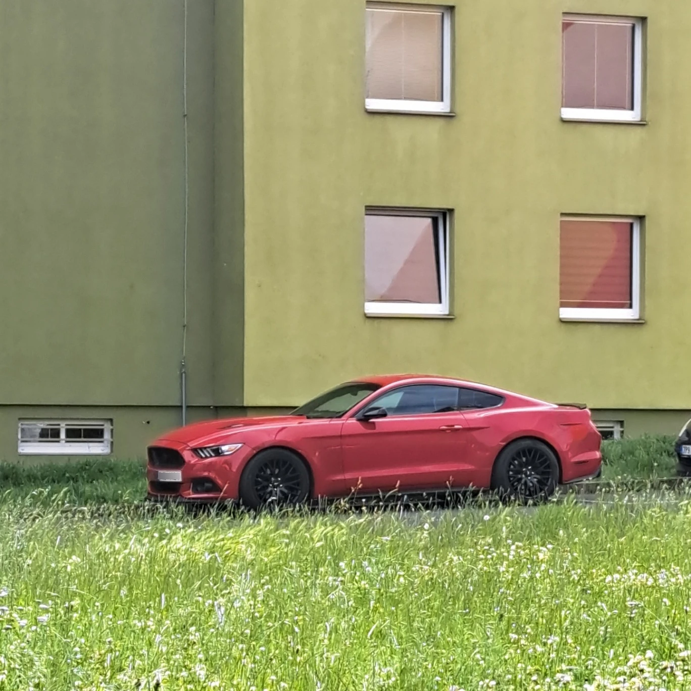 Ford Mustang 2.3 Ecoboost spotted in Teplice District, Czechia