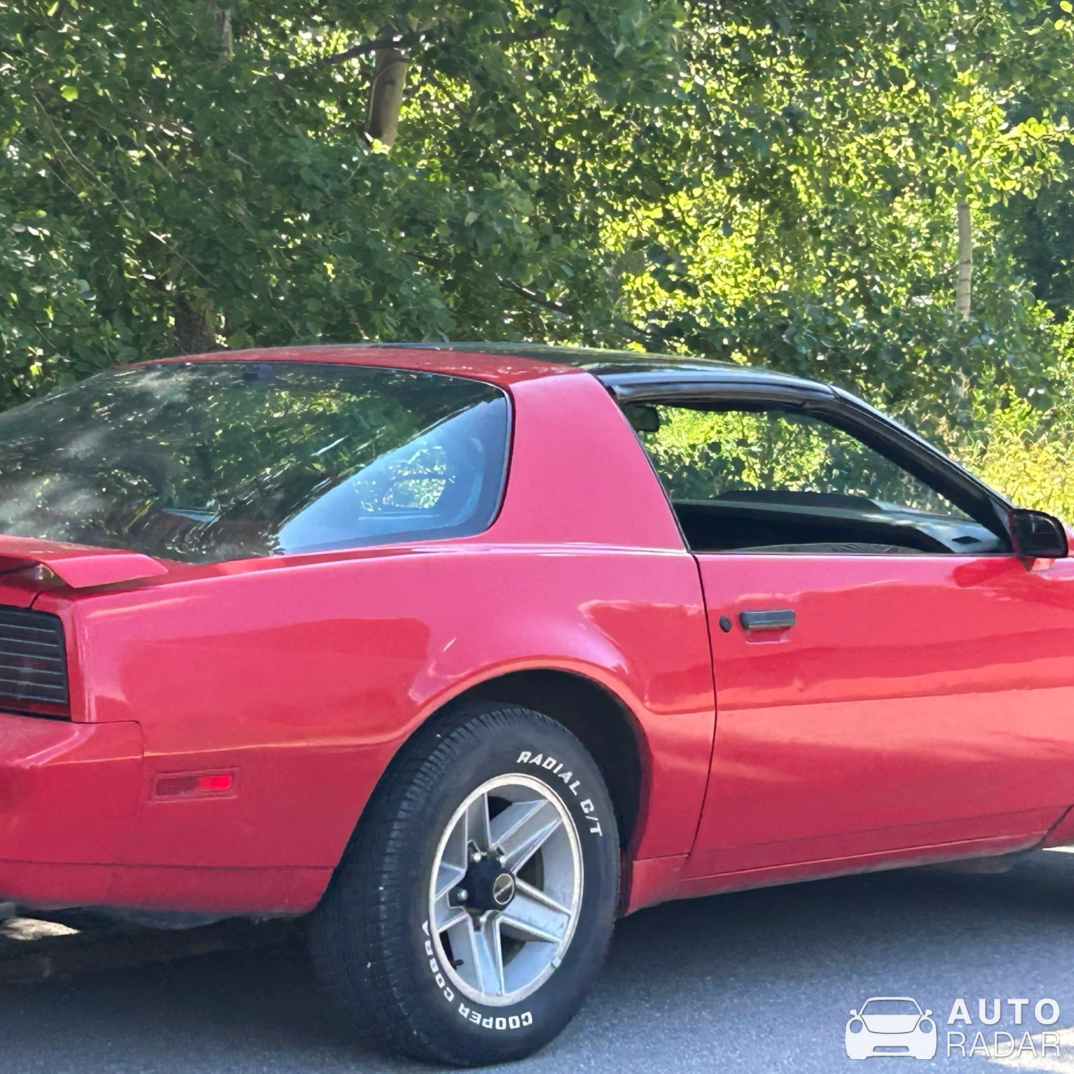 Pontiac Firebird spotted in Frövi