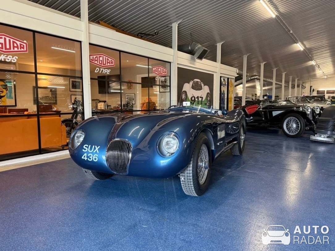 Jaguar C-Type spotted