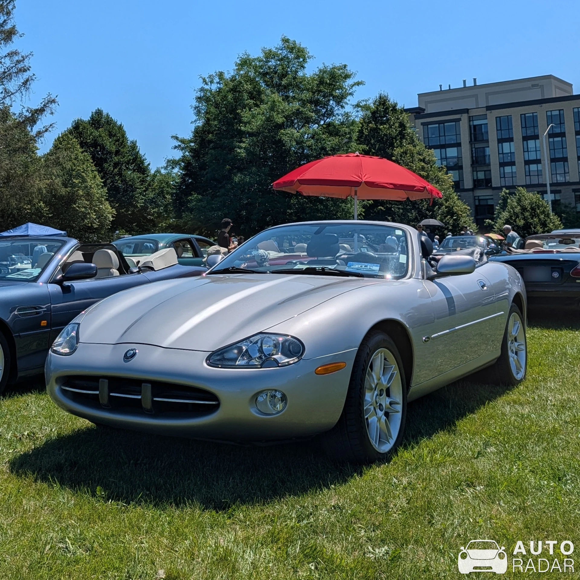 Jaguar XK spotted in Nepean